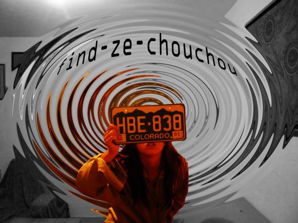 http://find-ze-chouchou.cowblog.fr/images/findzzeetrop.jpg